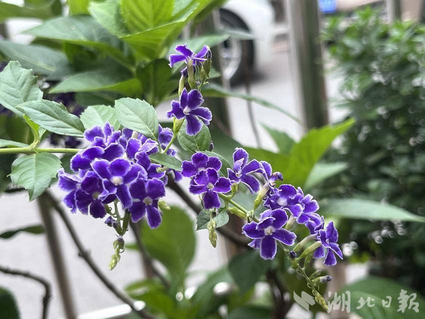 桌游棋牌下载